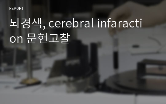 뇌경색, cerebral infaraction 문헌고찰