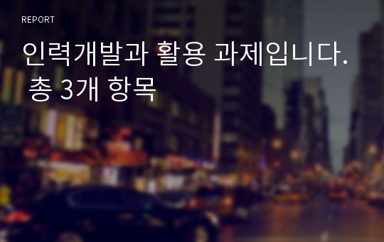 인력개발과 활용 과제입니다. 총 3개 항목