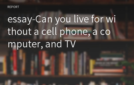 essay-Can you live for without a cell phone, a computer, and TV