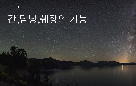 간,담낭,췌장의 기능