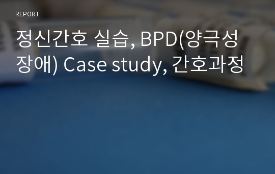 정신간호 실습, BPD(양극성장애) Case study, 간호과정