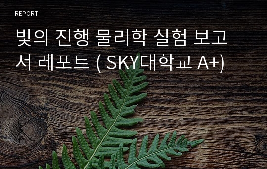 빛의 진행 물리학 실험 보고서 레포트 ( SKY대학교 A+)