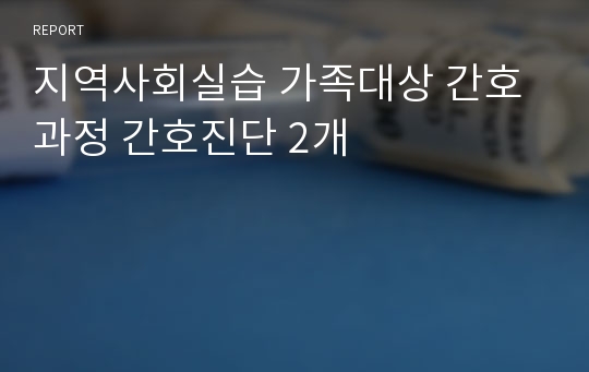 지역사회실습 가족대상 간호과정 간호진단 2개