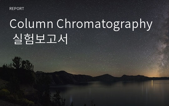 Column Chromatography 실험보고서