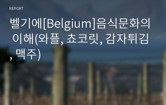 벨기에[Belgium]음식문화의 이해(와플, 쵸코릿, 감자튀김, 맥주)