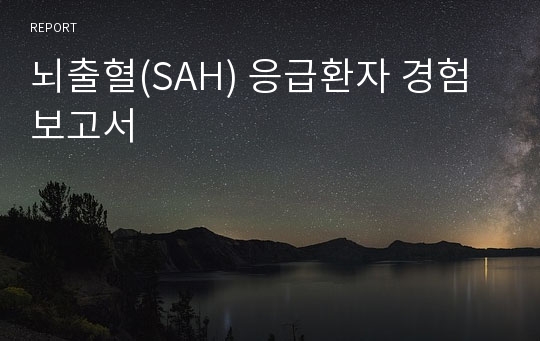 뇌출혈(SAH) 응급환자 경험 보고서