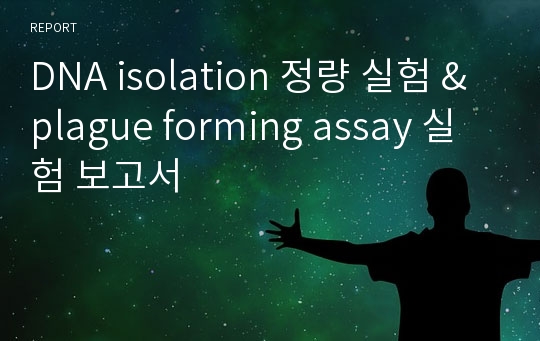 DNA isolation 정량 실험 &amp; plague forming assay 실험 보고서