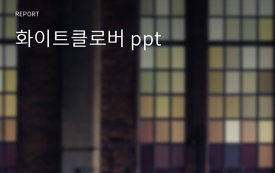 화이트클로버 ppt