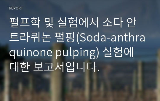 펄프학 및 실험에서 소다 안트라퀴논 펄핑(Soda-anthraquinone pulping) 실험에 대한 보고서입니다.