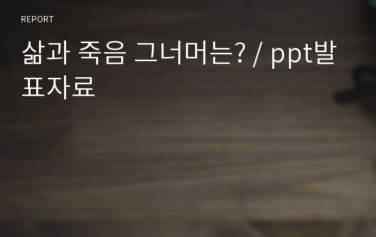 삶과 죽음 그너머는? / ppt발표자료