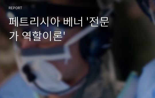 페트리시아 베너 &#039;전문가 역할이론&#039;