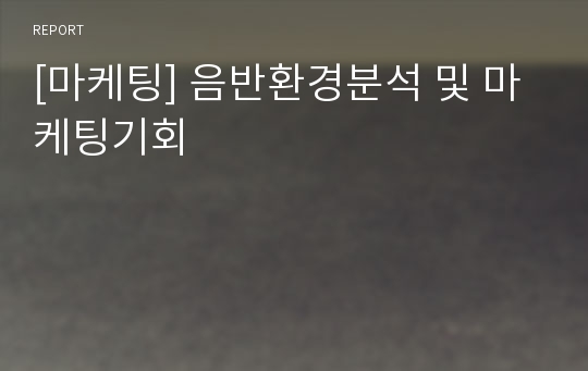 [마케팅] 음반환경분석 및 마케팅기회