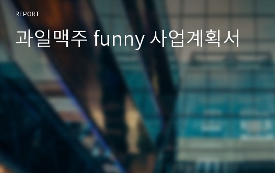 과일맥주 funny 사업계획서