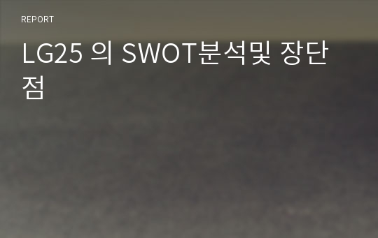 LG25 의 SWOT분석및 장단점