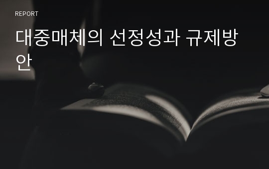 대중매체의 선정성과 규제방안