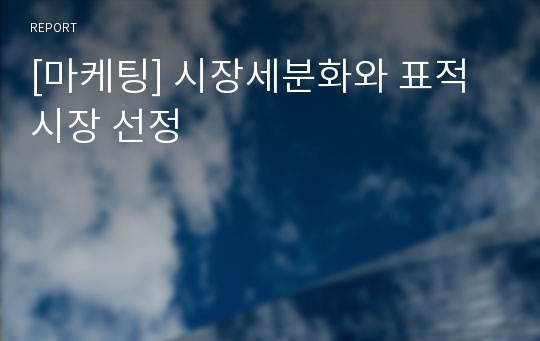 [마케팅] 시장세분화와 표적시장 선정