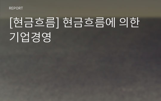 [현금흐름] 현금흐름에 의한 기업경영