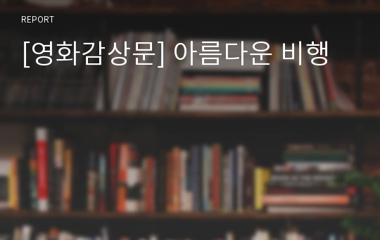 [영화감상문] 아름다운 비행