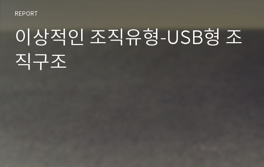 이상적인 조직유형-USB형 조직구조