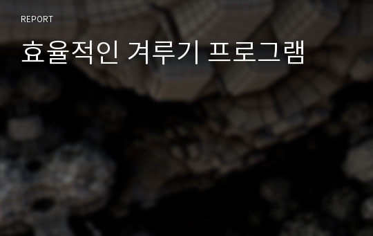 효율적인 겨루기 프로그램