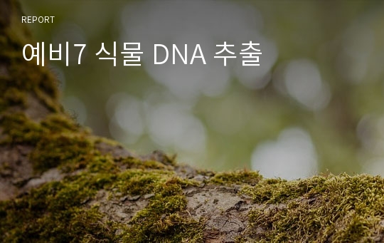 예비7 식물 DNA 추출