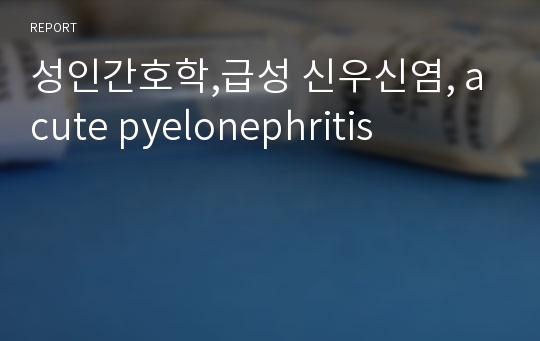 성인간호학,급성 신우신염, acute pyelonephritis