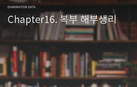 Chapter16. 복부 해부생리