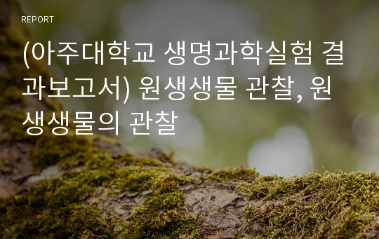 (아주대학교 생명과학실험 결과보고서) 원생생물 관찰, 원생생물의 관찰