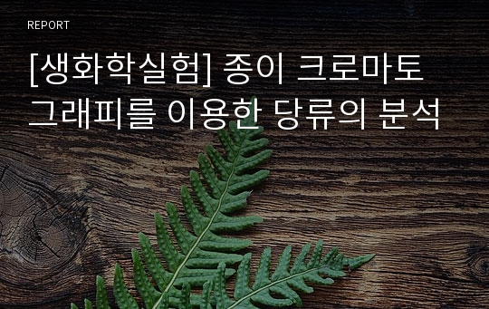 [생화학실험] 종이 크로마토그래피를 이용한 당류의 분석