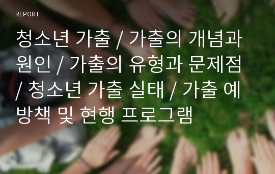 청소년 가출, 가출의 개념과 원인, 가출의 유형과 문제점, 청소년 가출 실태, 가출 예방책 및 현행 프로그램