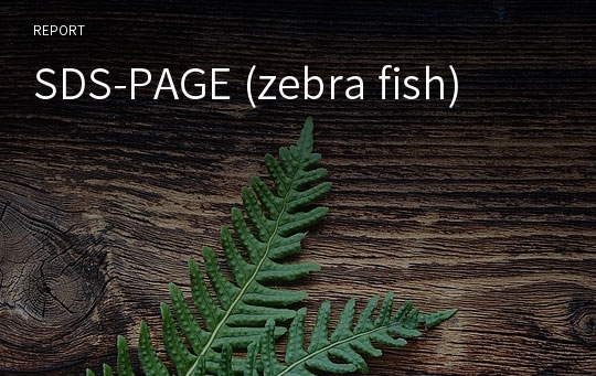 SDS-PAGE (zebra fish)