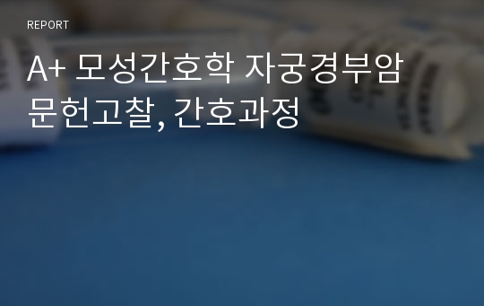 A+ 모성간호학 자궁경부암 문헌고찰, 간호과정