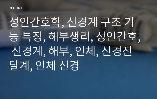 성인간호학, 신경계 구조 기능 특징, 해부생리, 성인간호, 신경계, 해부, 인체, 신경전달계, 인체 신경