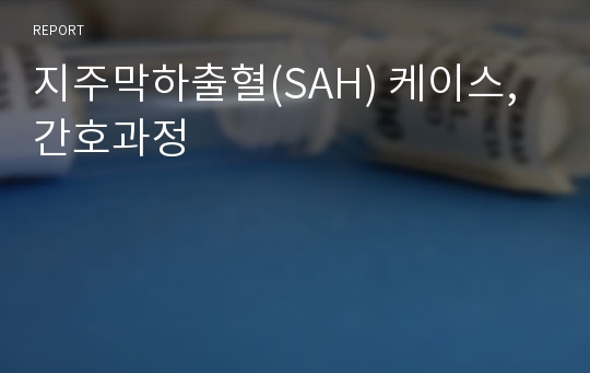 지주막하출혈(SAH) 케이스, 간호과정