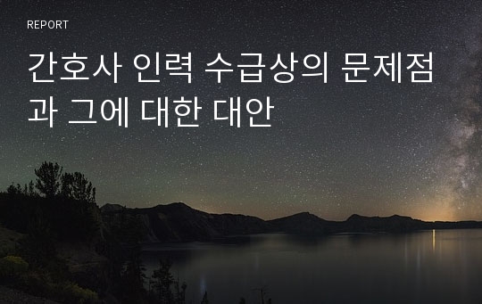 간호사 인력 수급상의 문제점과 그에 대한 대안