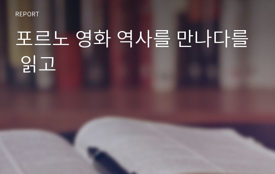 포르노 영화 역사를 만나다를 읽고