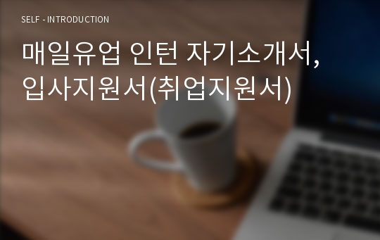 매일유업 인턴 자기소개서, 입사지원서(취업지원서)