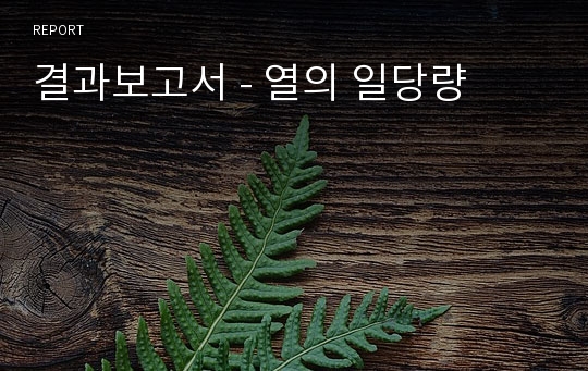 결과보고서 - 열의 일당량