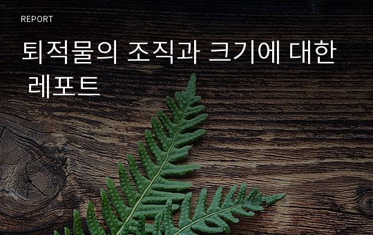 퇴적물의 조직과 크기에 대한 레포트