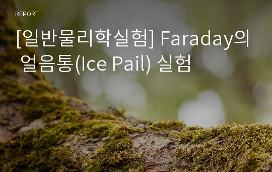 [일반물리학실험] Faraday의 얼음통(Ice Pail) 실험