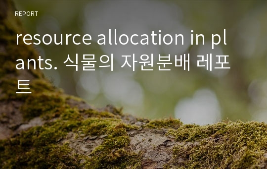 resource allocation in plants. 식물의 자원분배 레포트