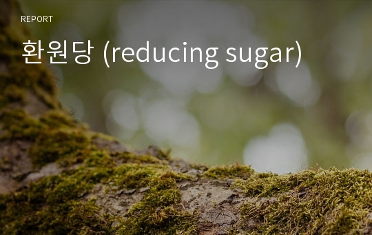 환원당 (reducing sugar)