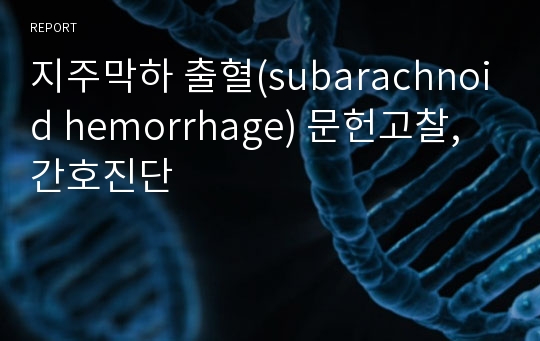 지주막하 출혈(subarachnoid hemorrhage) 문헌고찰, 간호진단