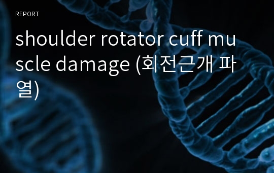 shoulder rotator cuff muscle damage (회전근개 파열) 정리