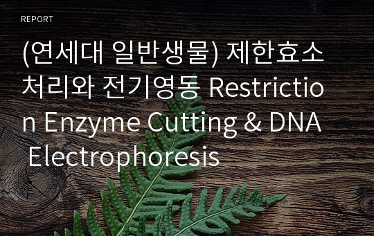 (연세대 일반생물) 제한효소 처리와 전기영동 Restriction Enzyme Cutting &amp; DNA Electrophoresis