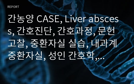 간농양 CASE, Liver abscess, 간호진단, 간호과정, 문헌고찰, 중환자실 실습, 내과계 중환자실, 성인 간호학, A+자료 입니다.