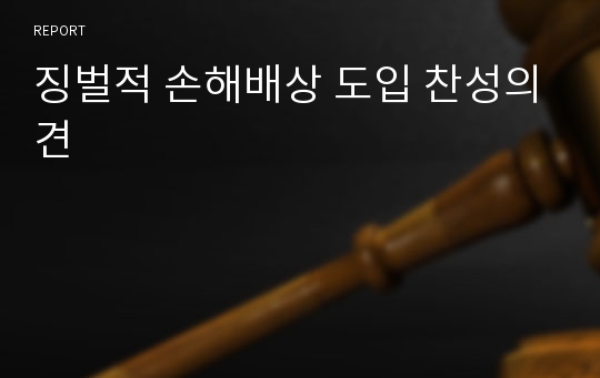 징벌적 손해배상 도입 찬성의견