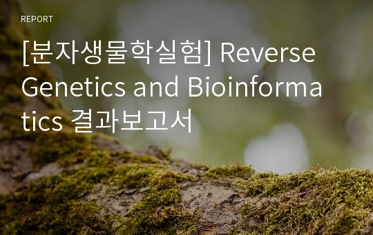 [분자생물학실험] Reverse Genetics and Bioinformatics 결과보고서