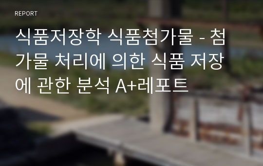 식품저장학 식품첨가물 - 첨가물 처리에 의한 식품 저장에 관한 분석 A+레포트