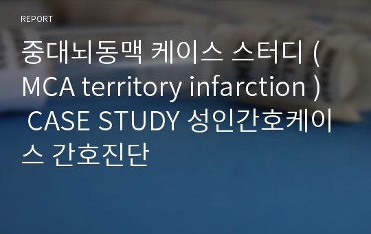 중대뇌동맥 경색 케이스 스터디,뇌경색 CASE, ( MCA territory infarction ) CASE STUDY 간호진단